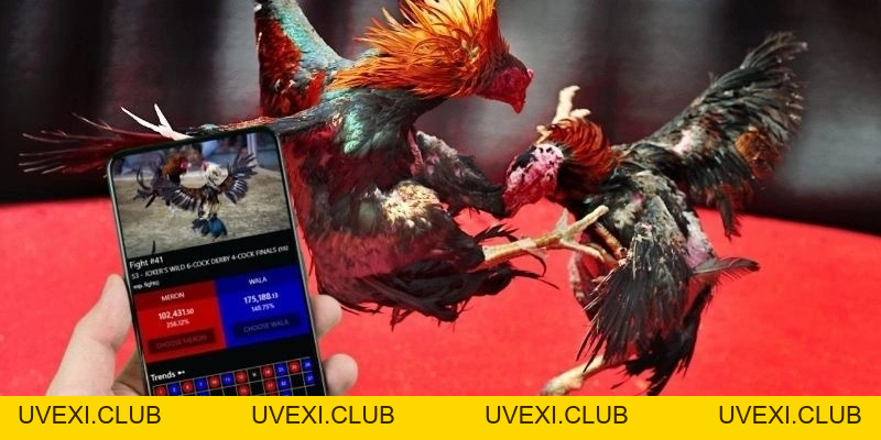 Đá Gà Cựa Sắt King88 – Sức Bền Và Live Betting - KING88 - Vua Casino Trực Tuyến | Thể Thao, Baccarat, Slot - Thưởng 200%