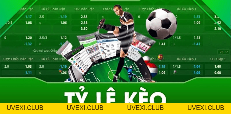 King88 lapavoni Trang Chủ King88 com | Nhà cái cá cược King88 vina
